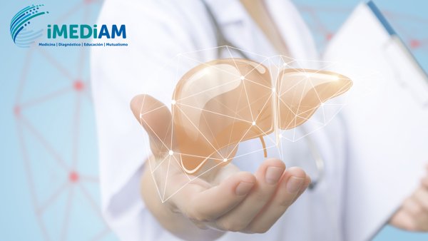 Elastografía hepática: cómo evaluar la salud del hígado de forma rápida e indolora
